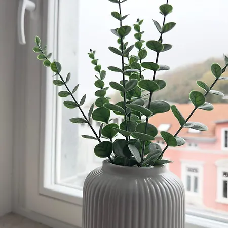 Apartament Grosses Maisonette I Lage I Prime *