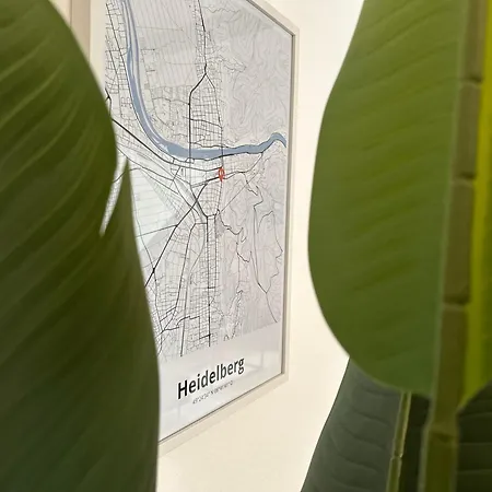 Grosses Maisonette I Lage I Prime Apartamento Heidelberg