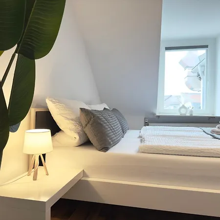 Grosses Maisonette I Lage I Prime Apartament Heidelberg